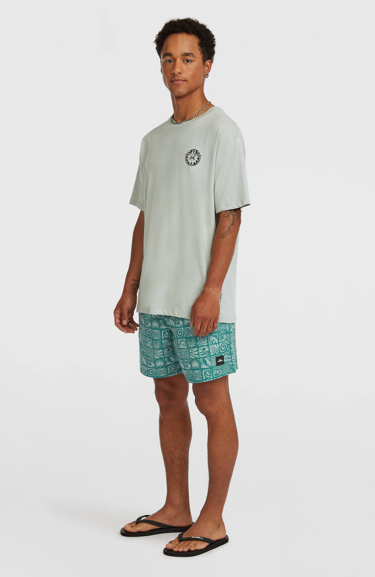 Short de bain O'Neill Print 16 | Blue Bricks