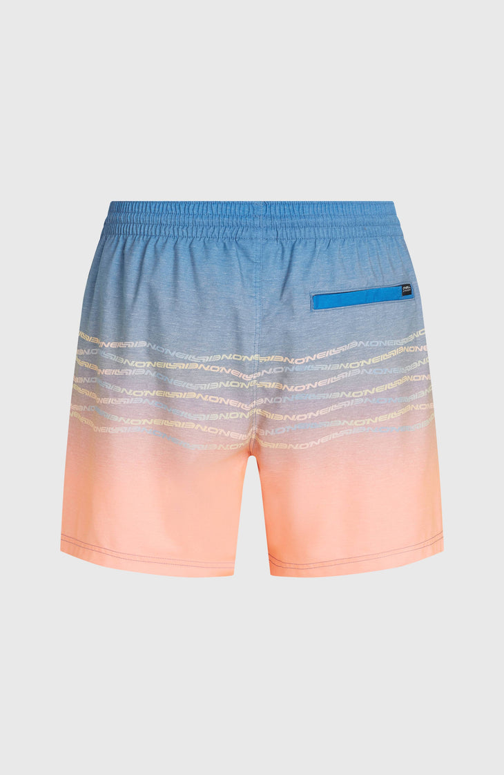 Short de bain O'Neill First 15'' | Blue Heritage O'Neill Flip