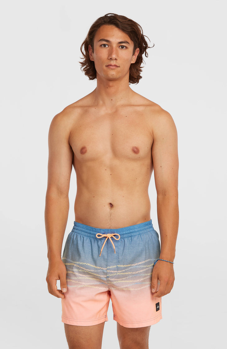 Short de bain O'Neill First 15'' | Blue Heritage O'Neill Flip