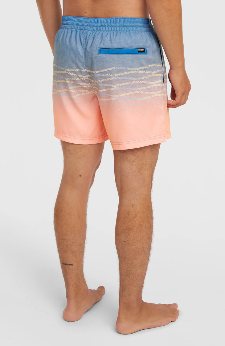 Short de bain O'Neill First 15'' | Blue Heritage O'Neill Flip