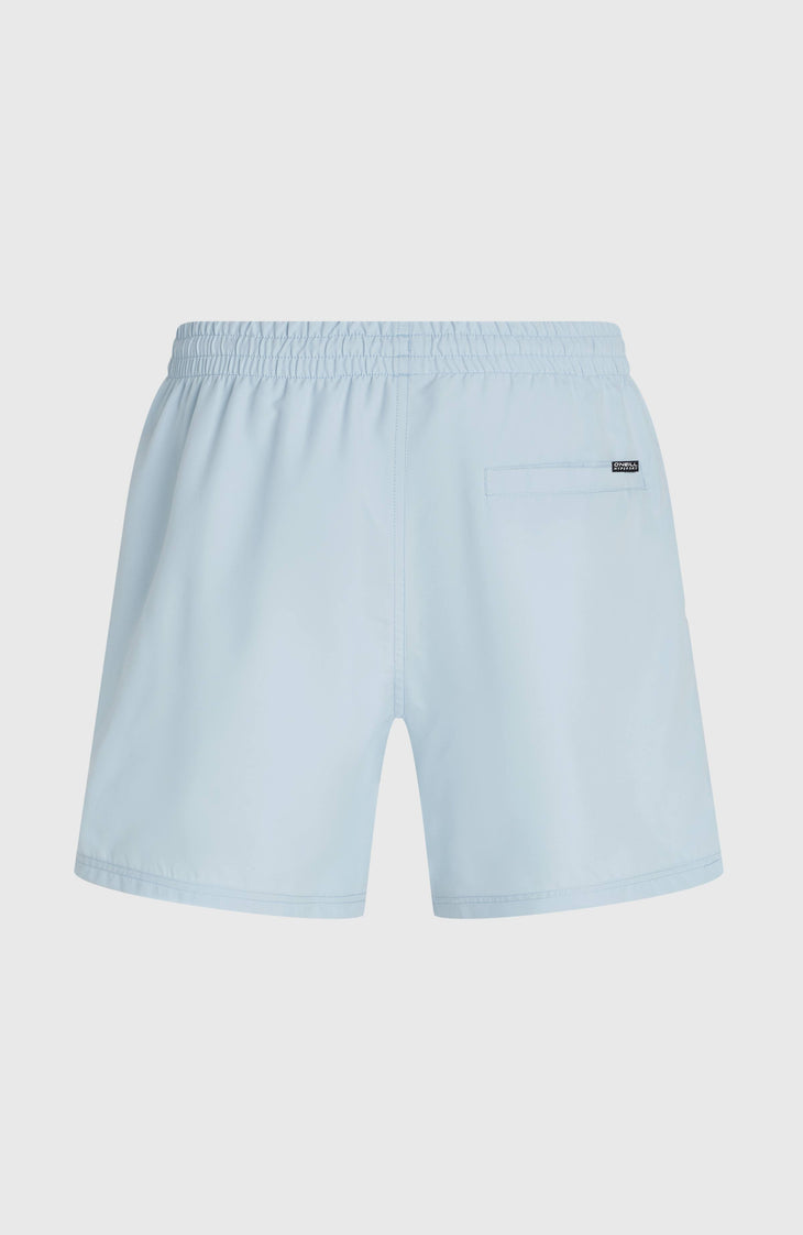 Short de bain O'Neill Logo 16'' | Spindle