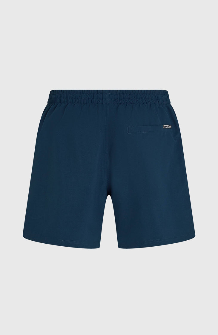 Short de bain O'Neill Logo 16'' | English Evening