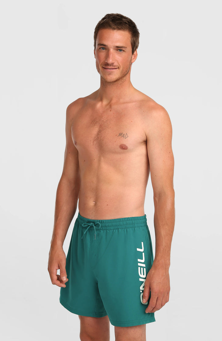 Short de bain O'Neill Logo 16'' | Botanical Heat