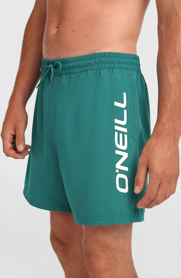Short de bain O'Neill Logo 16'' | Botanical Heat