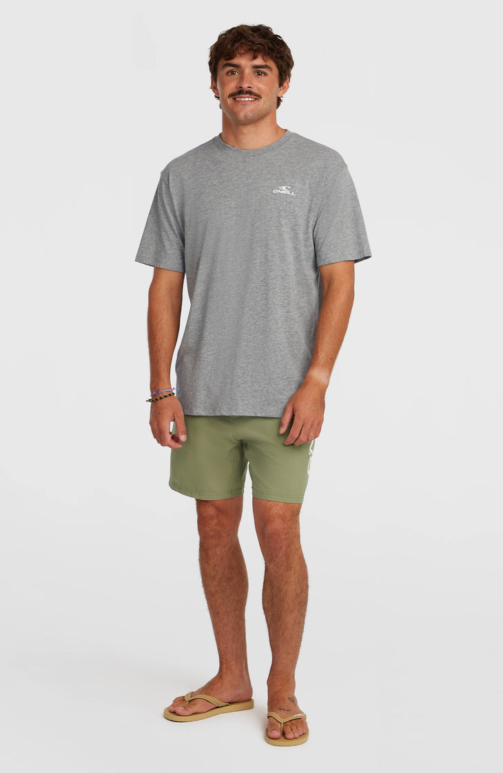 Short de bain O'Neill Logo 16'' | Avery Fern