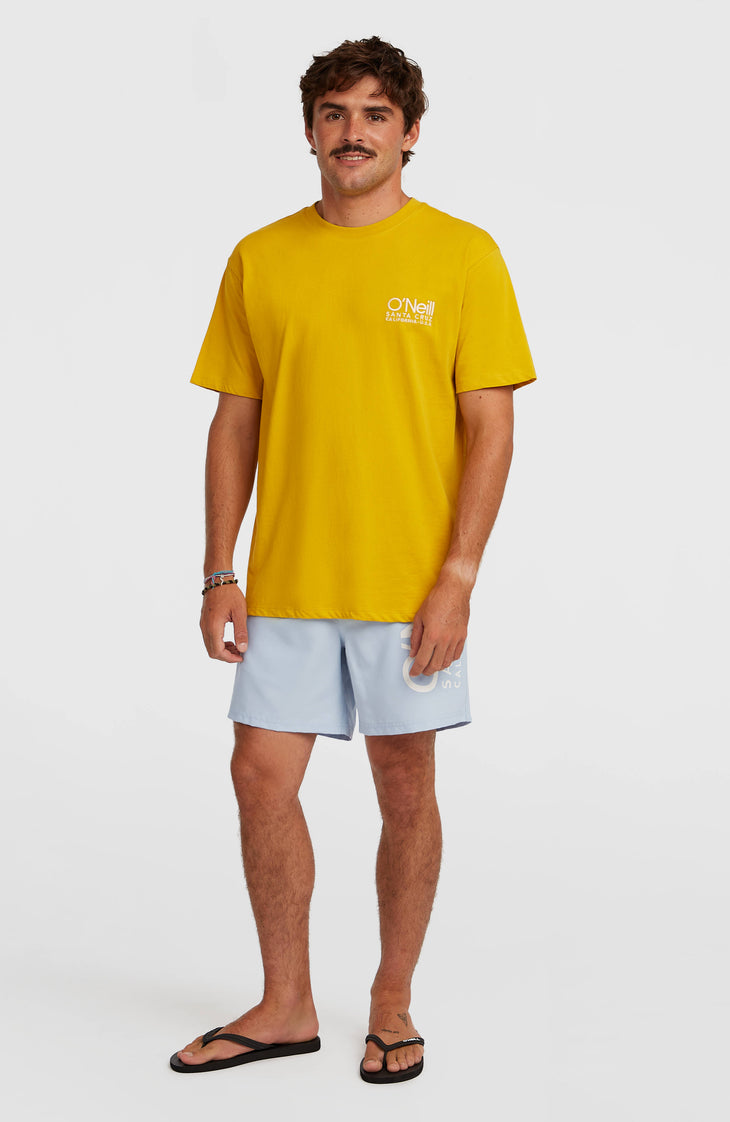 Short de bain O'Neill Cali 16'' | Spindle