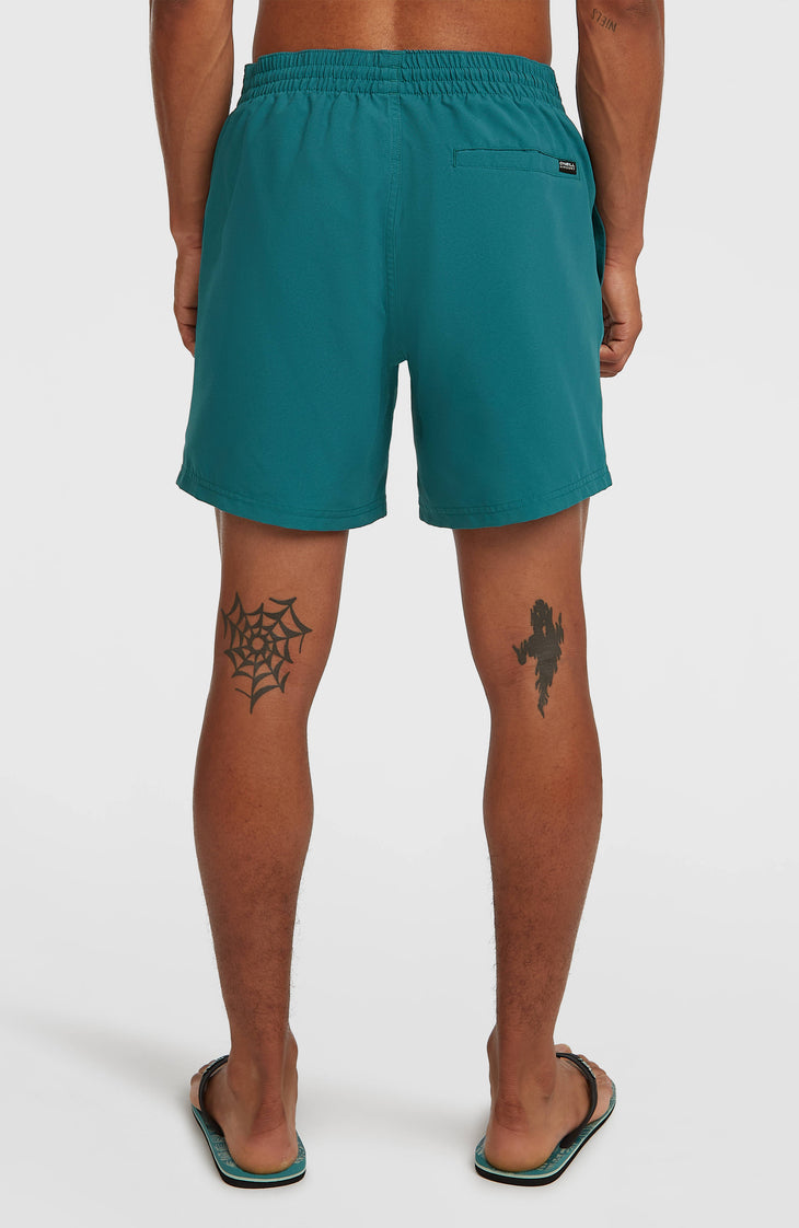 Short de bain O'Neill Cali 16'' | Botanical Heat