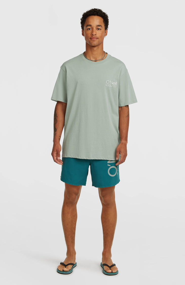 Short de bain O'Neill Cali 16'' | Botanical Heat