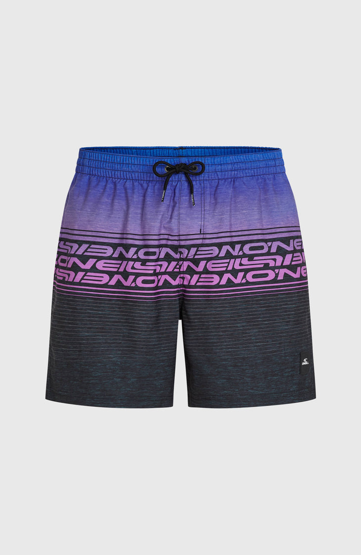 Short de bain Logo Stripe 16'' | Blue Heritage O'Neill Stripe