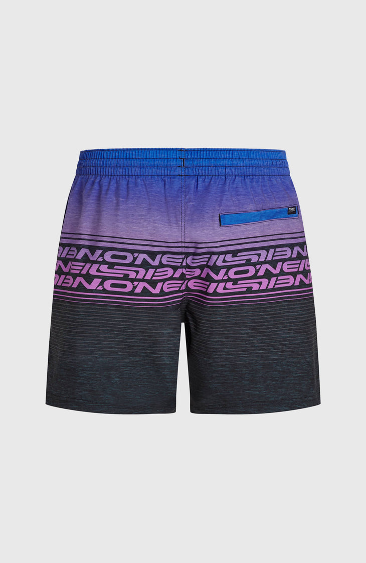 Short de bain Logo Stripe 16'' | Blue Heritage O'Neill Stripe