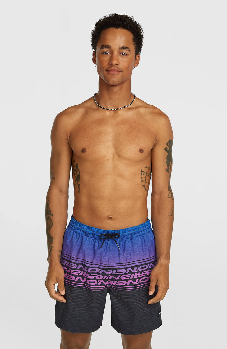 Short de bain Logo Stripe 16'' | Blue Heritage O'Neill Stripe