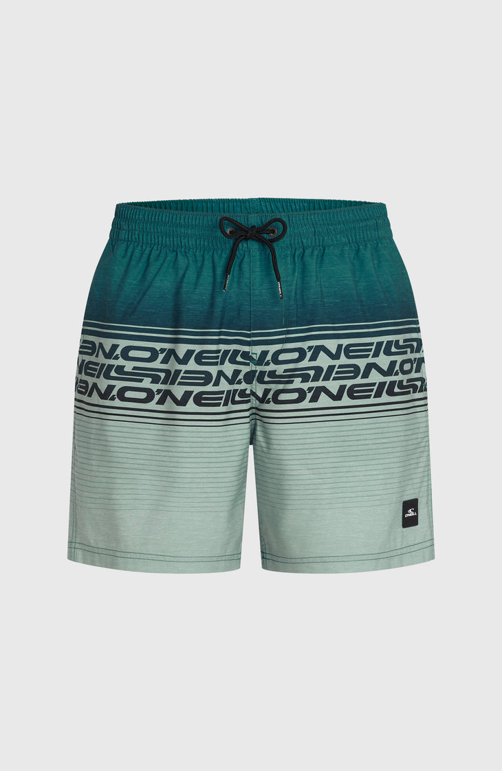 Short de bain Logo Stripe 16'' | Green Heritage Stripe