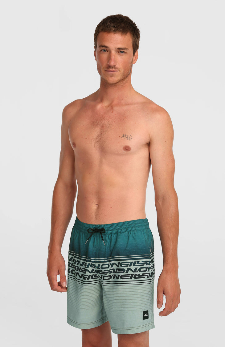Short de bain Logo Stripe 16'' | Green Heritage Stripe