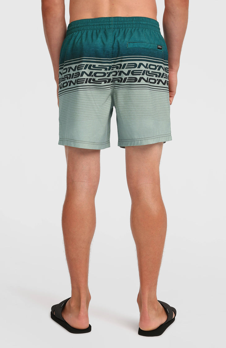 Short de bain Logo Stripe 16'' | Green Heritage Stripe