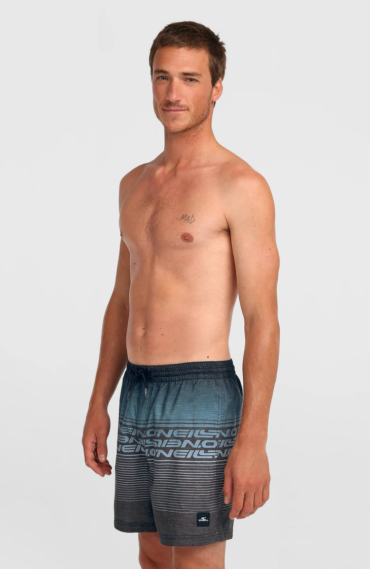 Short de bain Logo Stripe 16'' | Black Out Heritage O'Neill Stripe