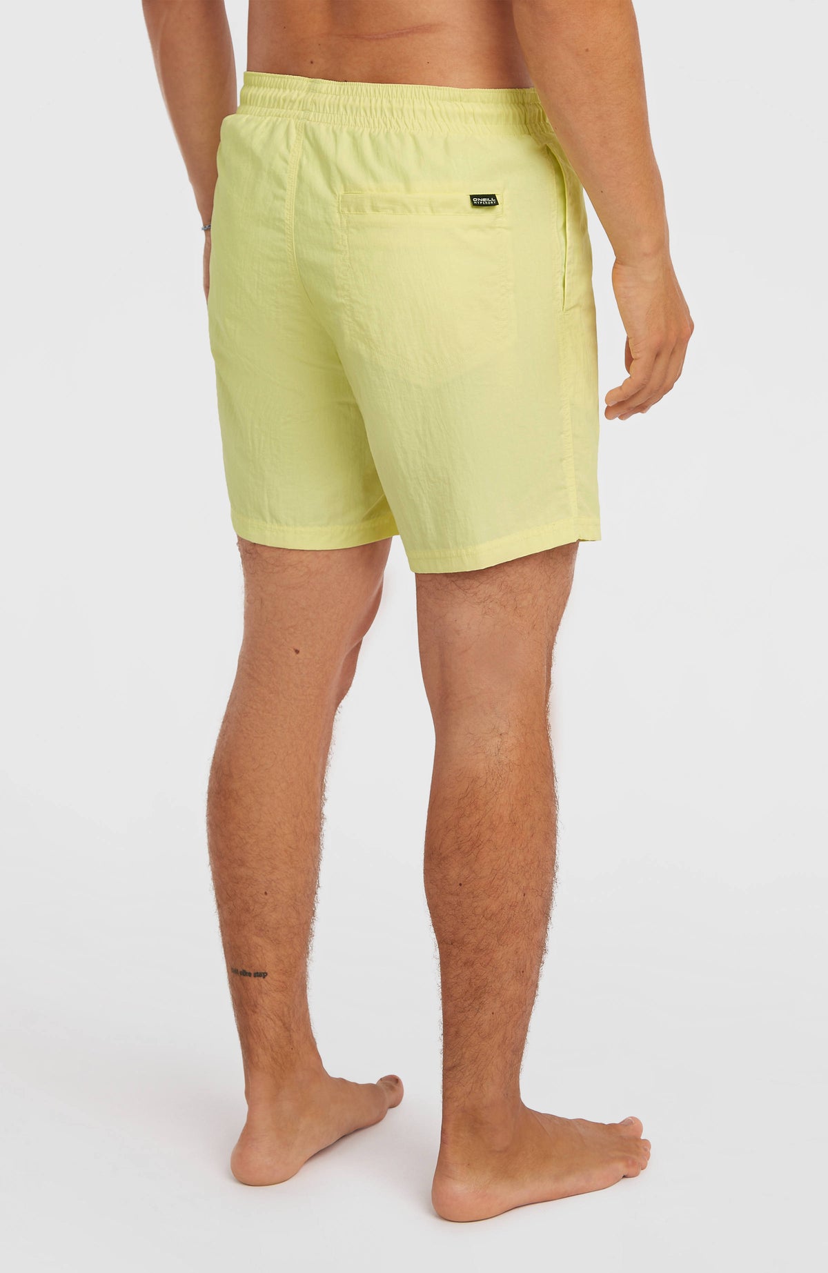 Short de bain O'Neill Vert 16'' | Rainforest Dew
