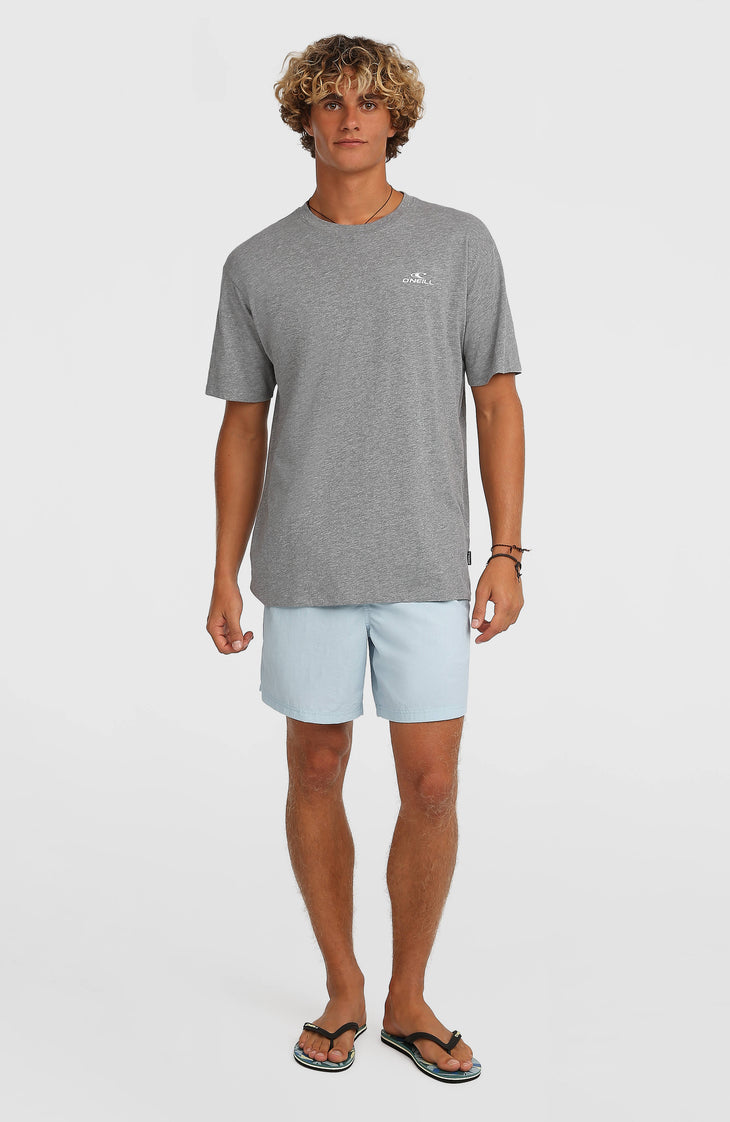 Short de bain O'Neill Vert 16'' | Spindle