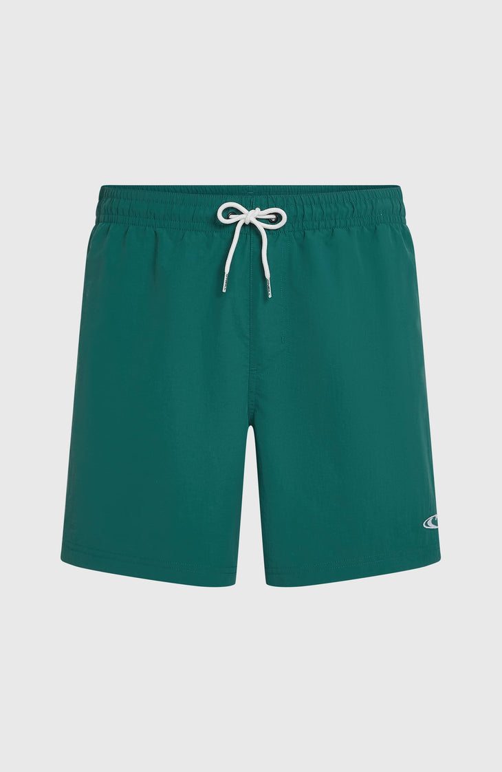 Short de bain O'Neill Vert 16'' | Botanical Heat