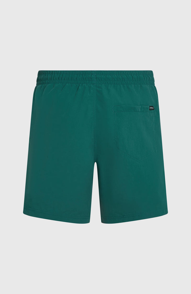 Short de bain O'Neill Vert 16'' | Botanical Heat