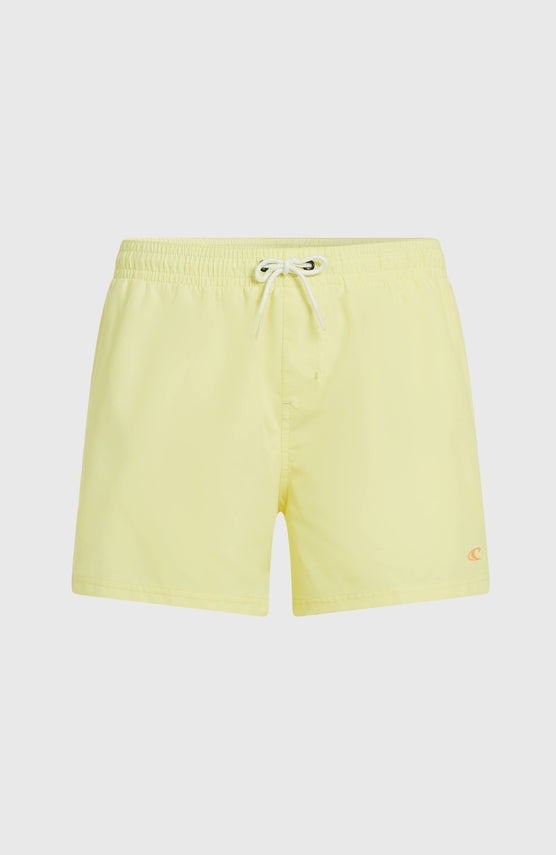 O'NEILL SUNNY BEACH 14" SWIMSHORT | Rainforest Dew