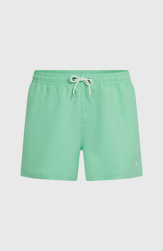 O'NEILL SUNNY BEACH 14" SWIMSHORT | Antiguan Sky