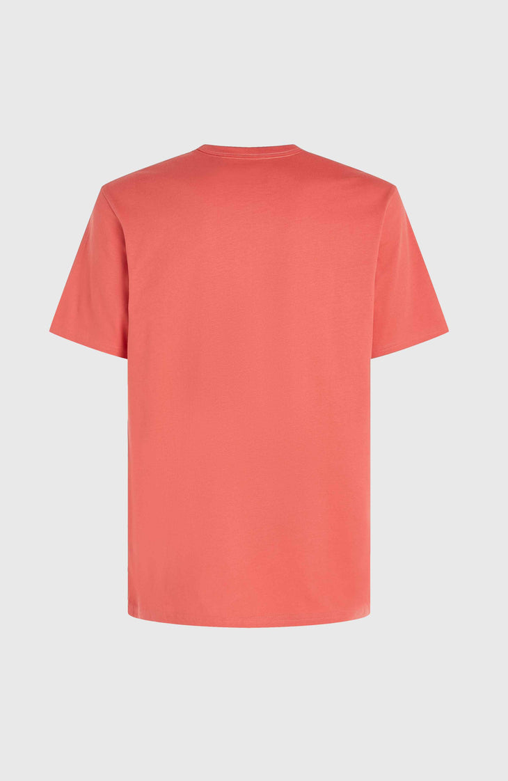 T-shirt O'Neill TRVLR Series Pacific Polygiene | Red Orcher