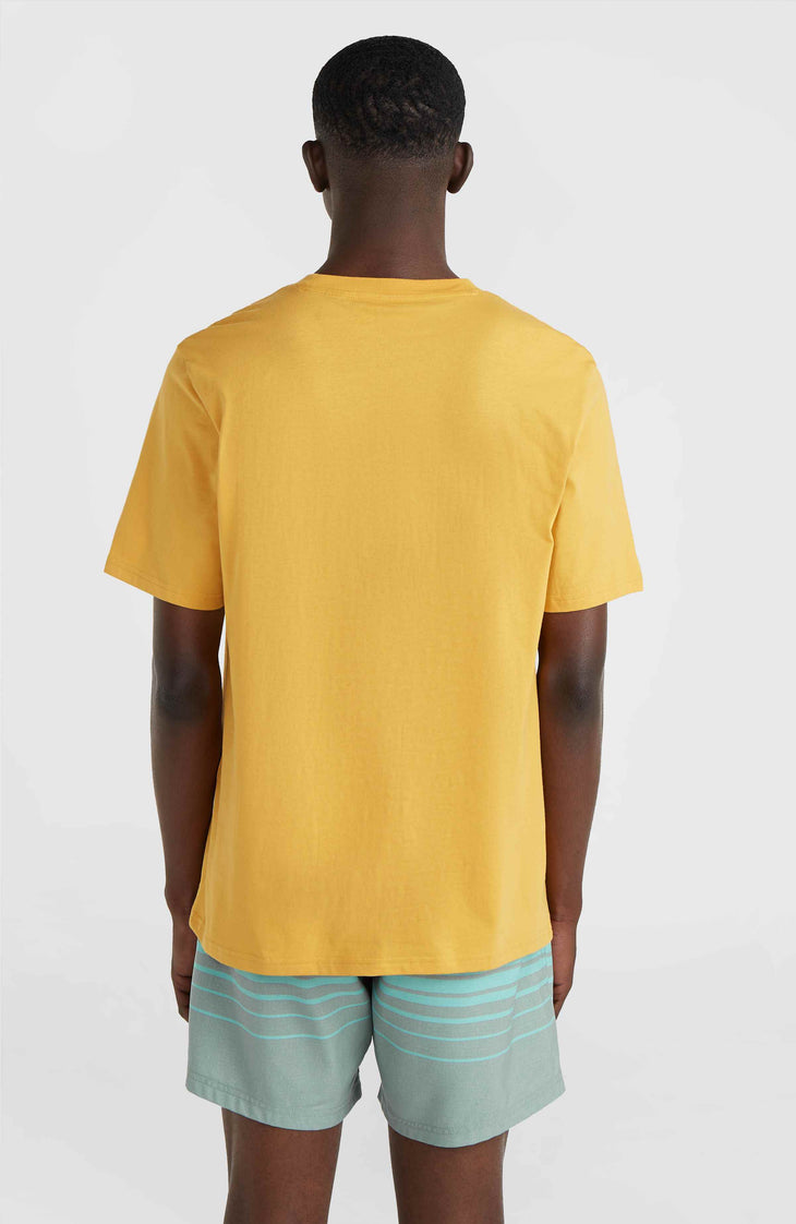 T-shirt Mix and Match Floral Graphic | Golden Haze