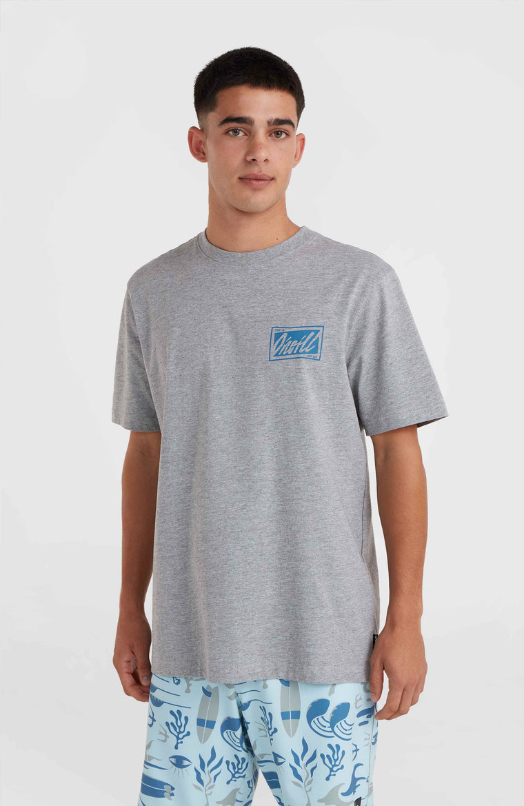 T-shirt O'Neill Beach Graphic | Silver Melee T-shirt O'Neill Beach Graphic | Silver Melee