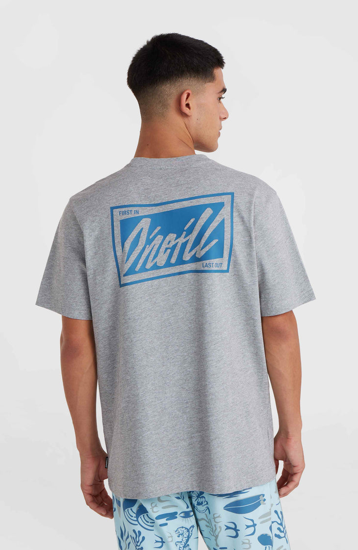 T-shirt O'Neill Beach Graphic | Silver Melee