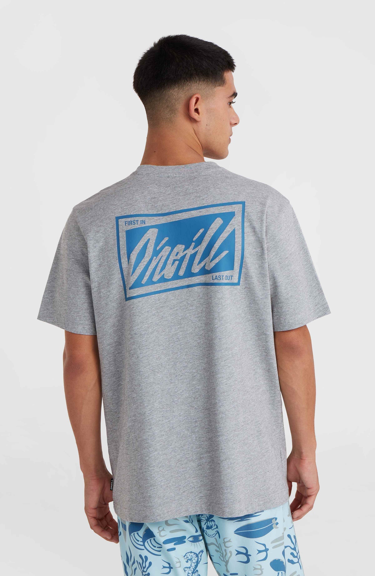 T-shirt O'Neill Beach Graphic | Silver Melee
