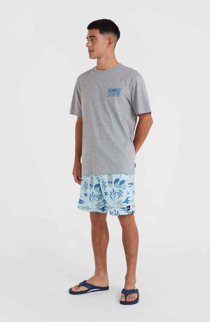 T-shirt O'Neill Beach Graphic | Silver Melee