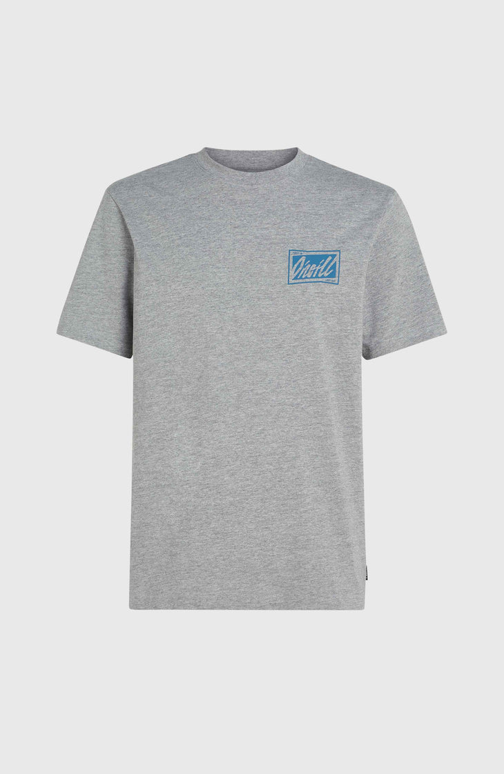 T-shirt O'Neill Beach Graphic | Silver Melee