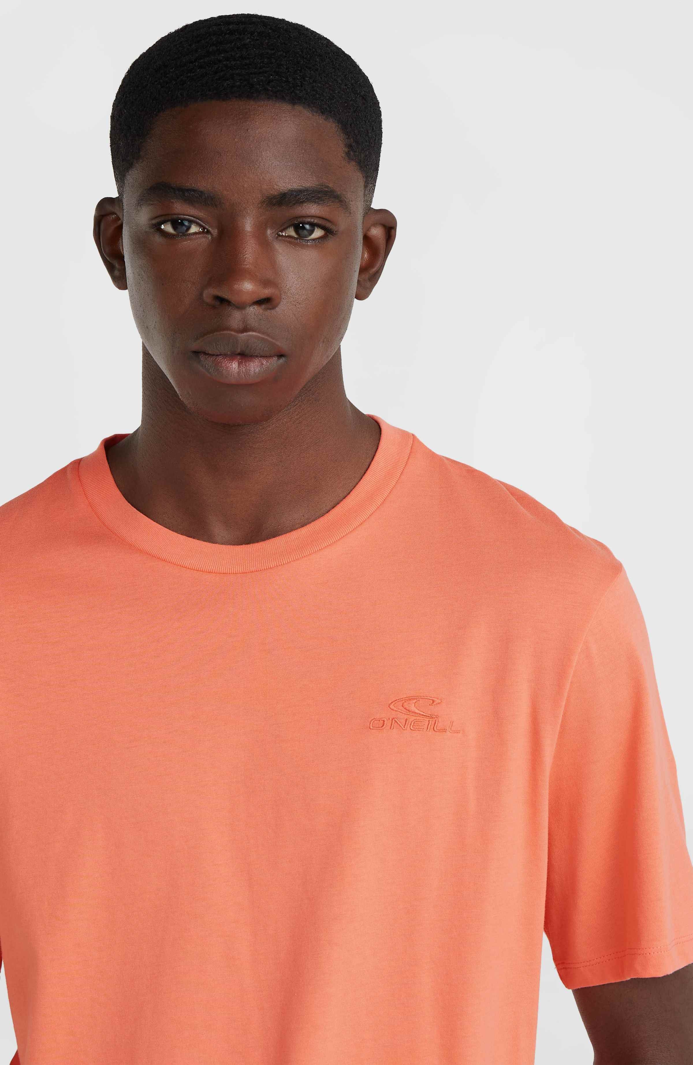 Men’s Short Sleeve T-Shirt O'Neill Global T-Shirt