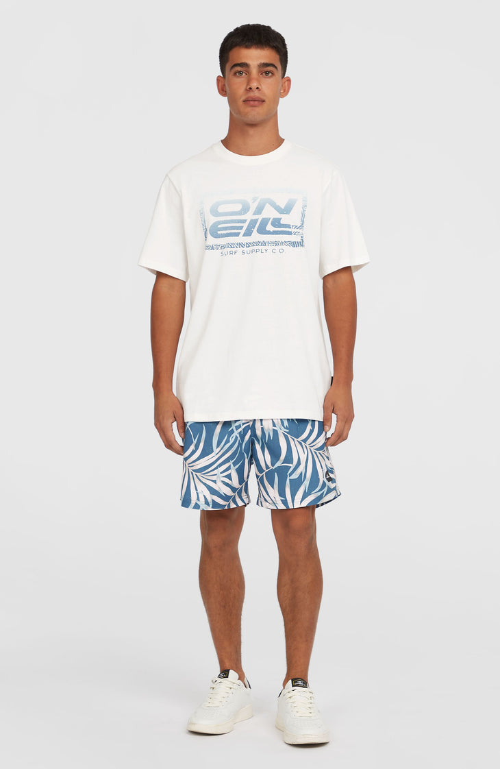 T-shirt Gradient | Snow White