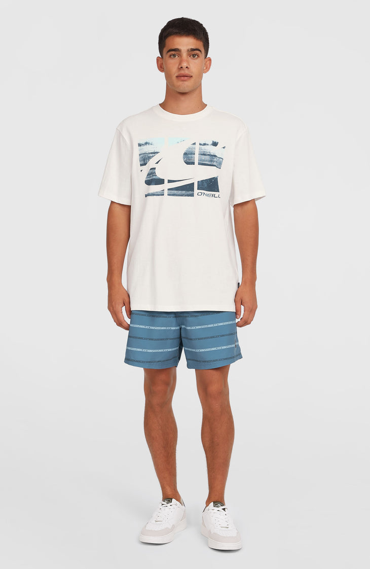 T-shirt Gradient | Snow White 2