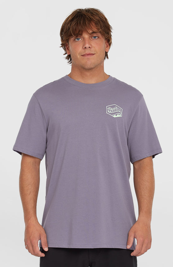 T-shirt Box Logo | Storm