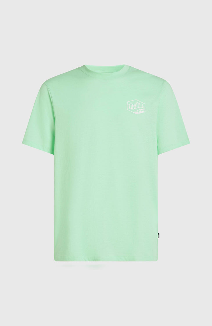 T-shirt Box Logo | Mildrew Mint