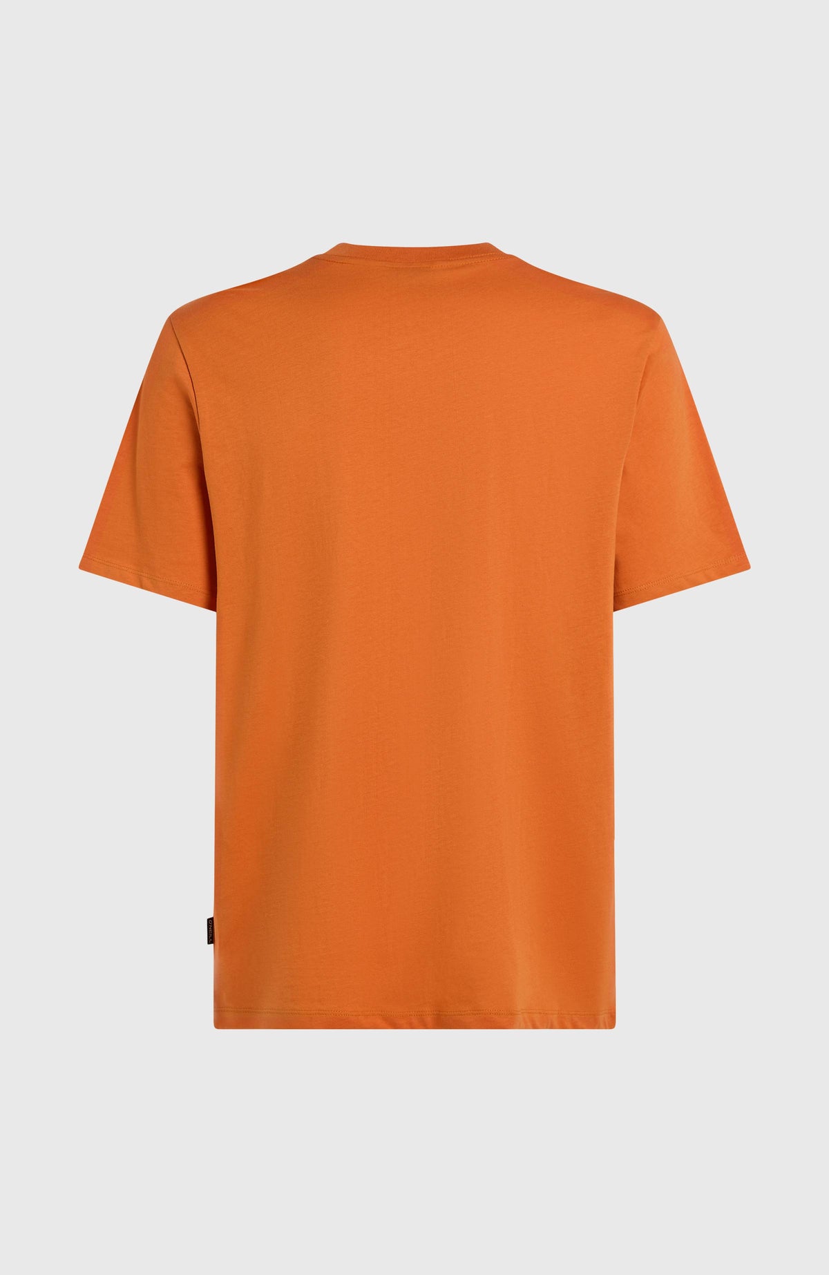 T-shirt Front Print | Cinnamon Stick