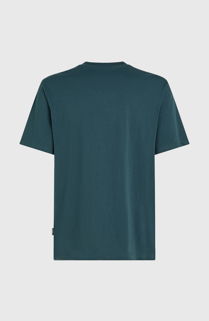 T-shirt Chest Print | Alma Steel