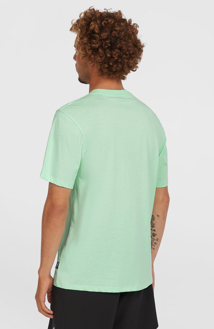 T-shirt Stripe | Mildrew Mint