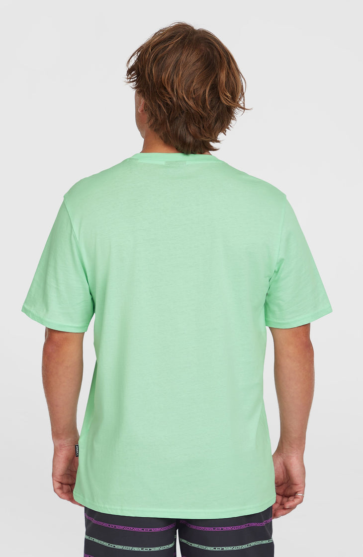 T-shirt Jack O'Neill Muir | Mildrew Mint