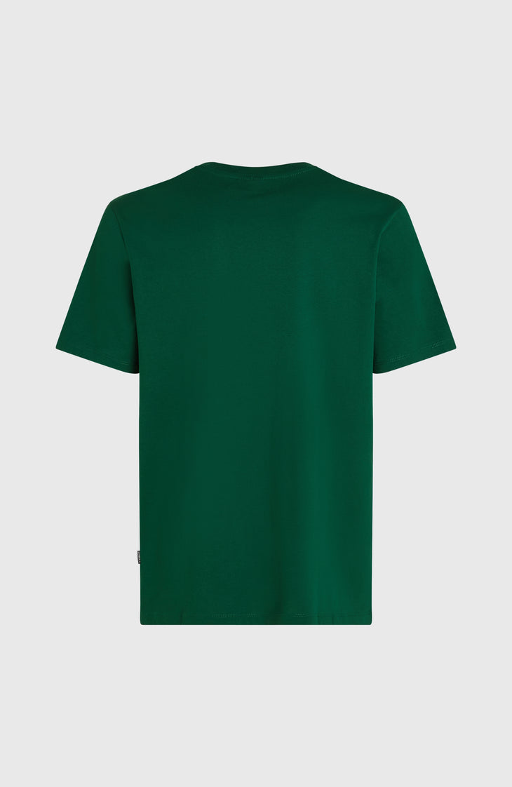 T-shirt Small Logo | Emerald Envy
