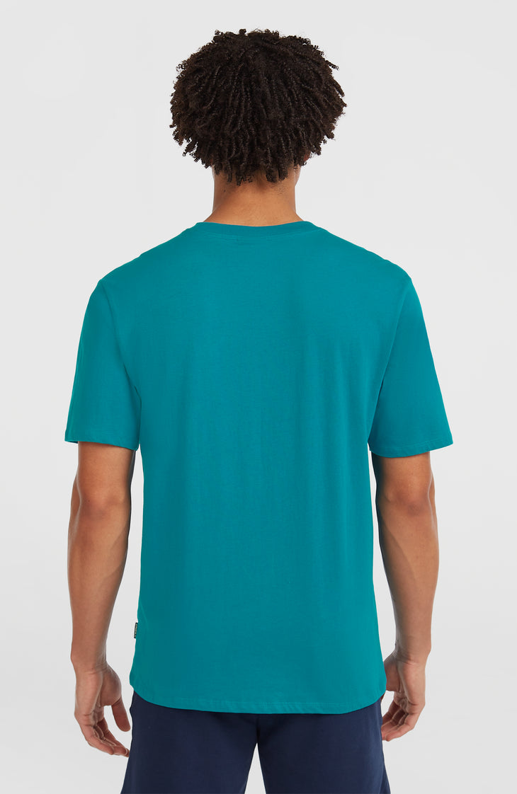 T-shirt Graphic | Island Breeze