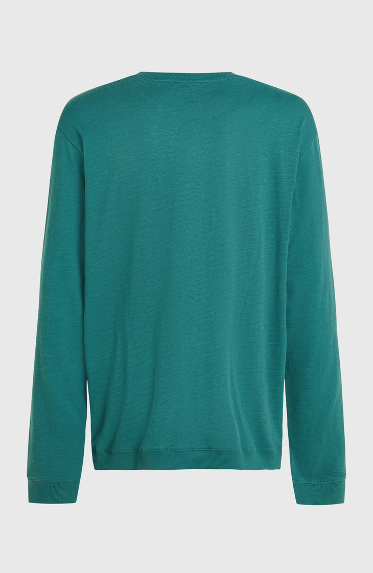 T-shirt à manches longues O'Neill Slub | Botanical Heat