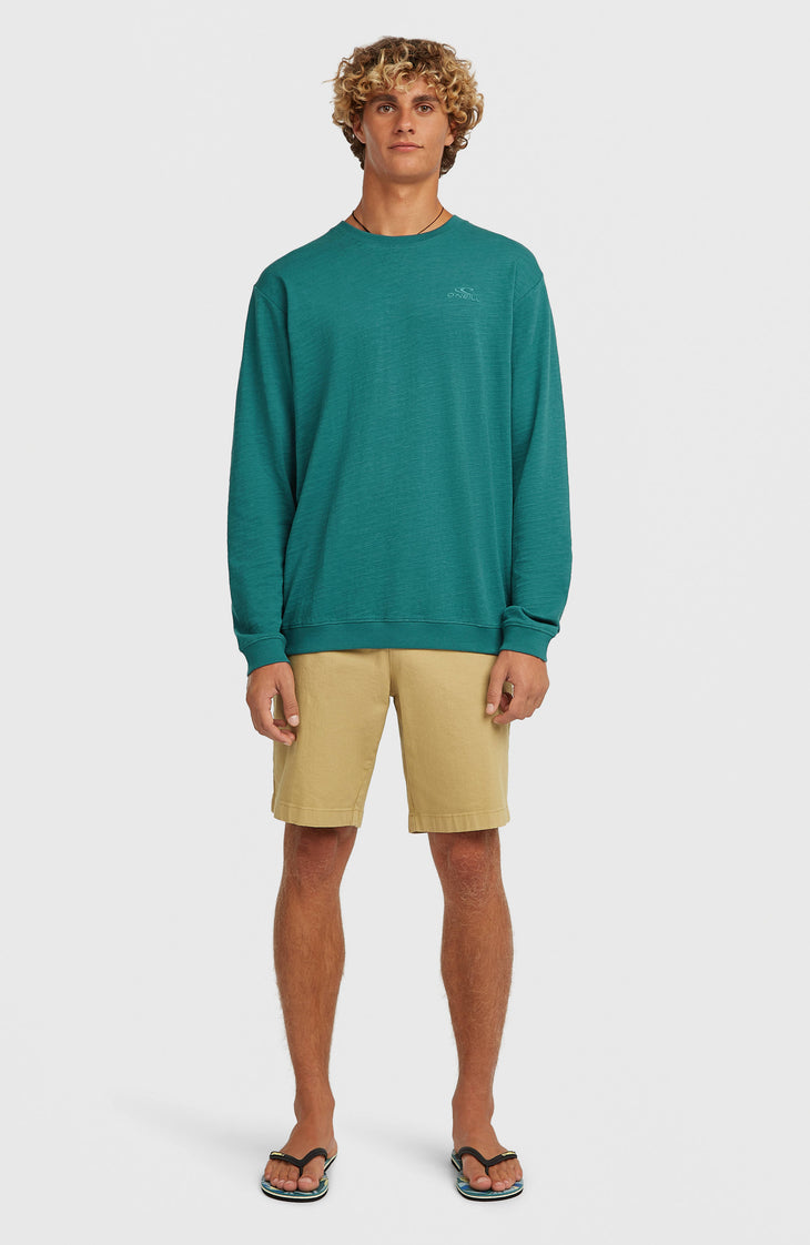 T-shirt à manches longues O'Neill Slub | Botanical Heat