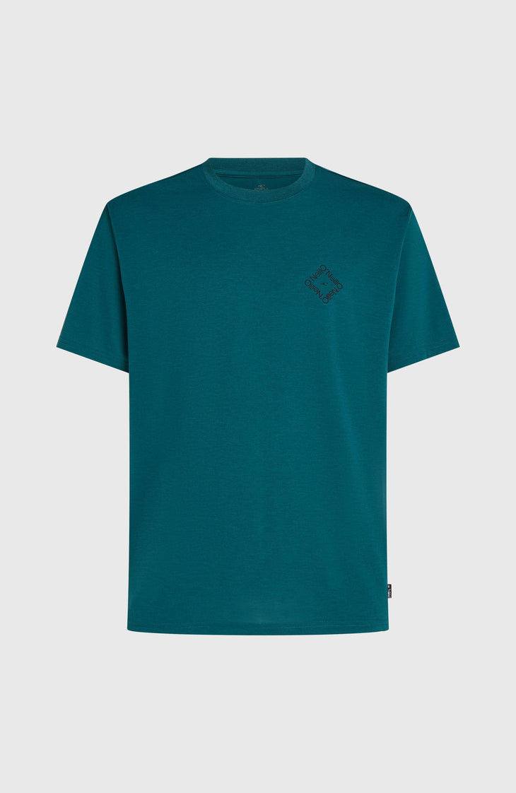 T-shirt O'Neill Hybrid Polygiene Back-Print | Botanical Heat