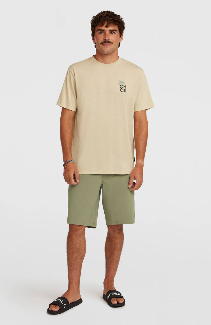 T-shirt O'Neill Hybrid Polygiene Graphic | Cocoa Sand