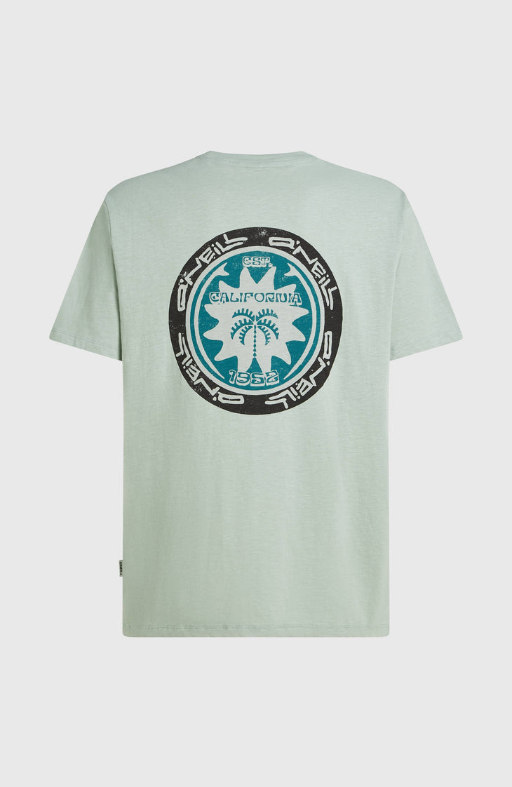 T-shirt O'Neill Slub Back-Print | Marble Arch