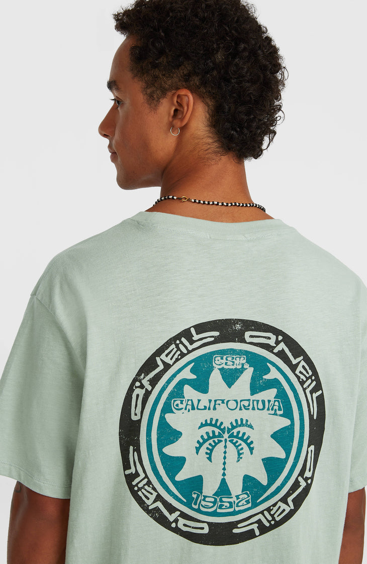 T-shirt O'Neill Slub Back-Print | Marble Arch