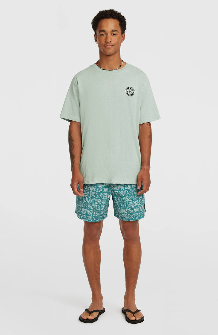 T-shirt O'Neill Slub Back-Print | Marble Arch